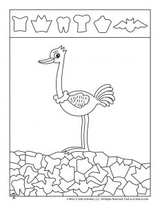 Easy bird hidden picture activities woo jr kids activities childrens publishing