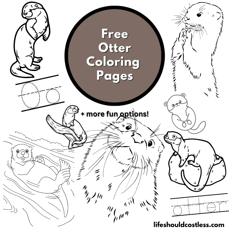 Otter coloring pages free printable pdf templates