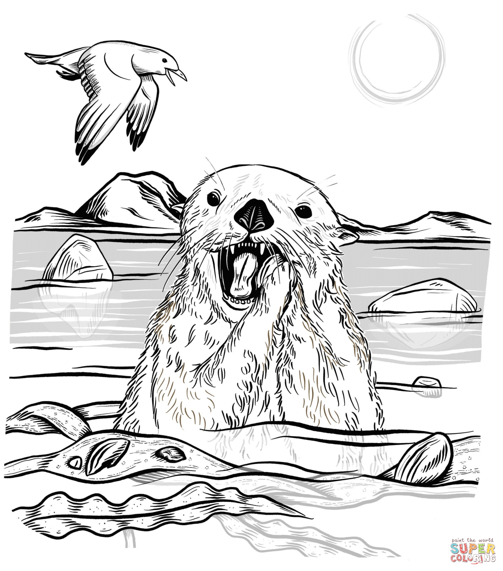 Sea otter eating urchin coloring page free printable coloring pages