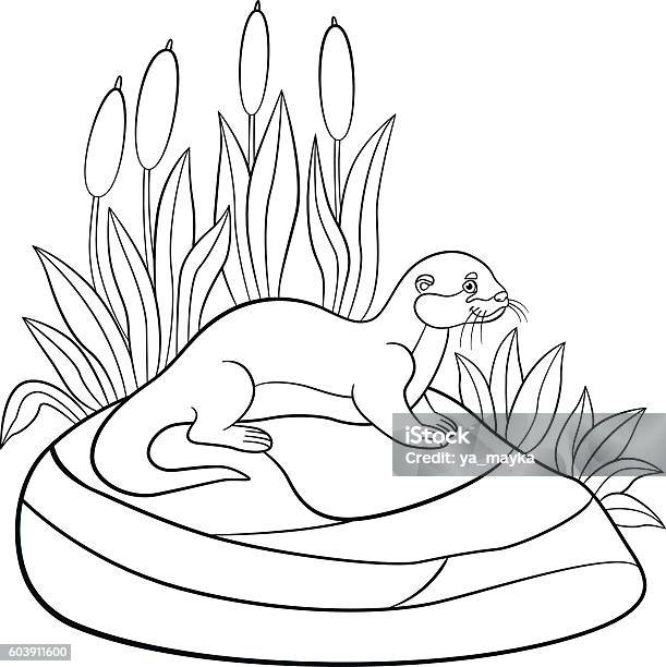Coloring pages two little cute otters swim stock illustration
