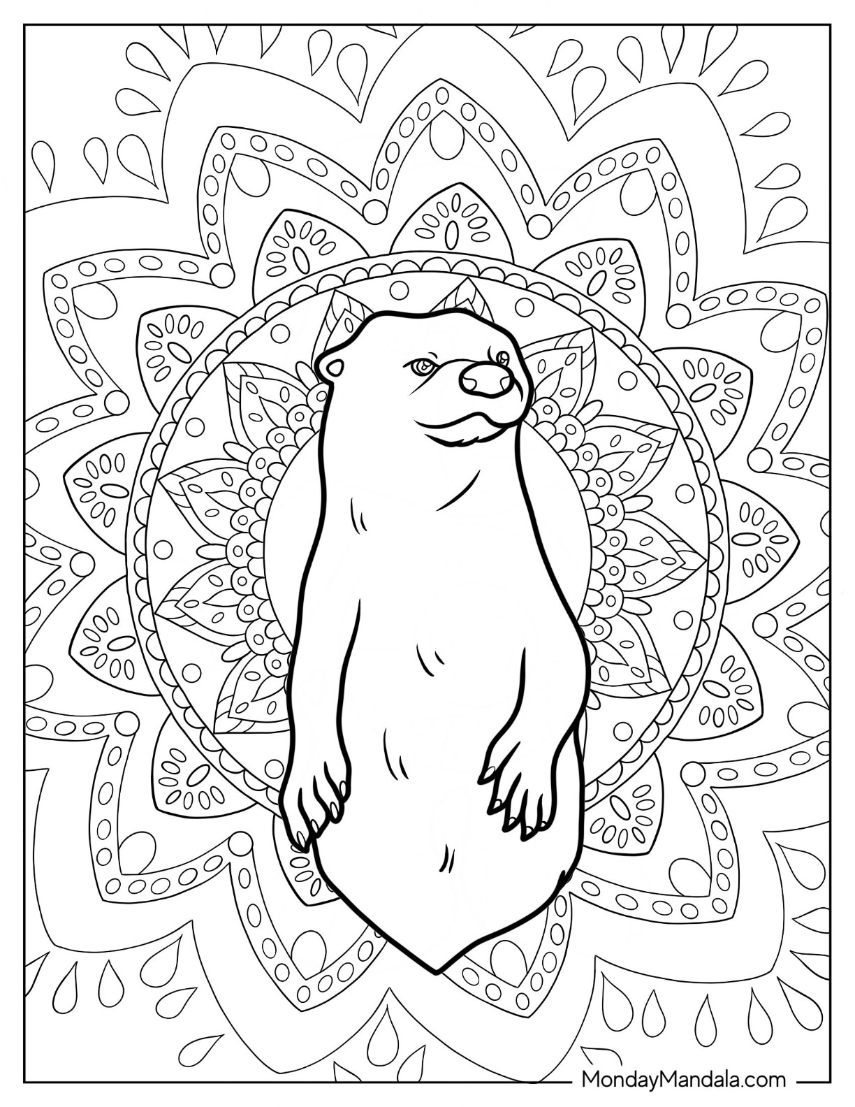Otter coloring pages free pdf printables