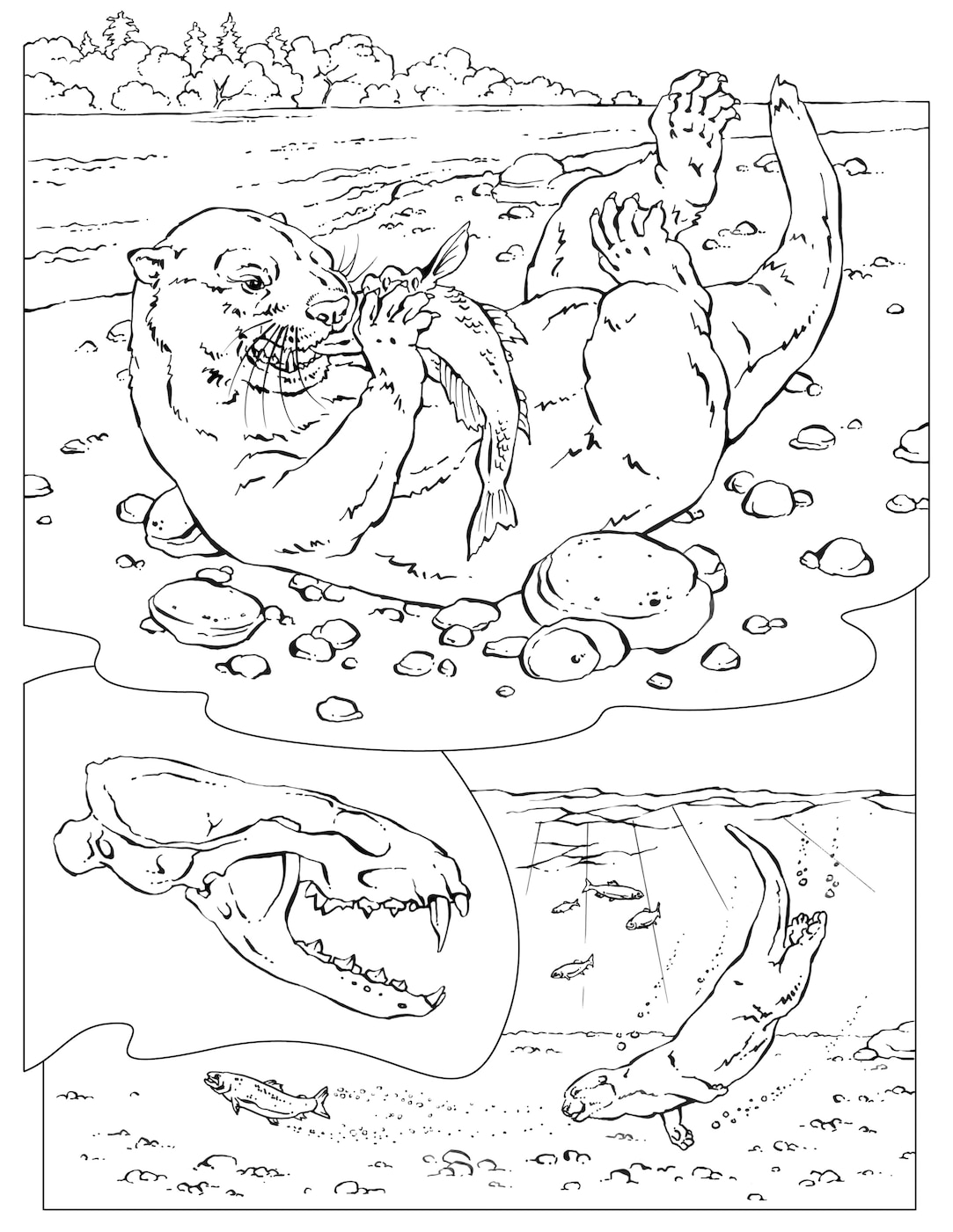 Coloring book animals j to z