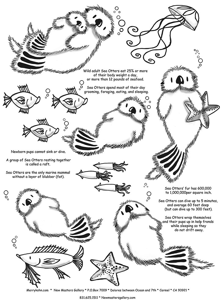 Otter fun facts merry kohn studio