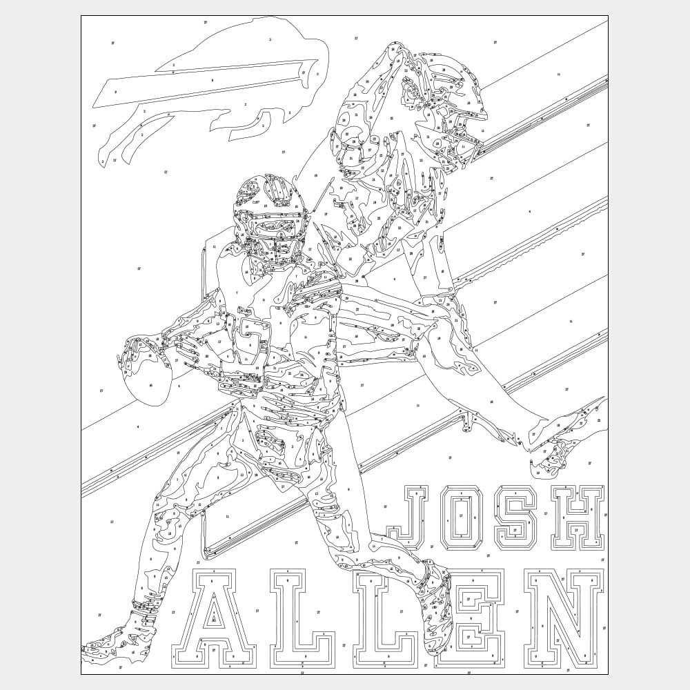 Josh allen