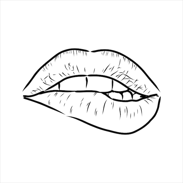 Premium vector sexy plump lips kiss pink watercolor and line art hand drawn vector illustration isolated