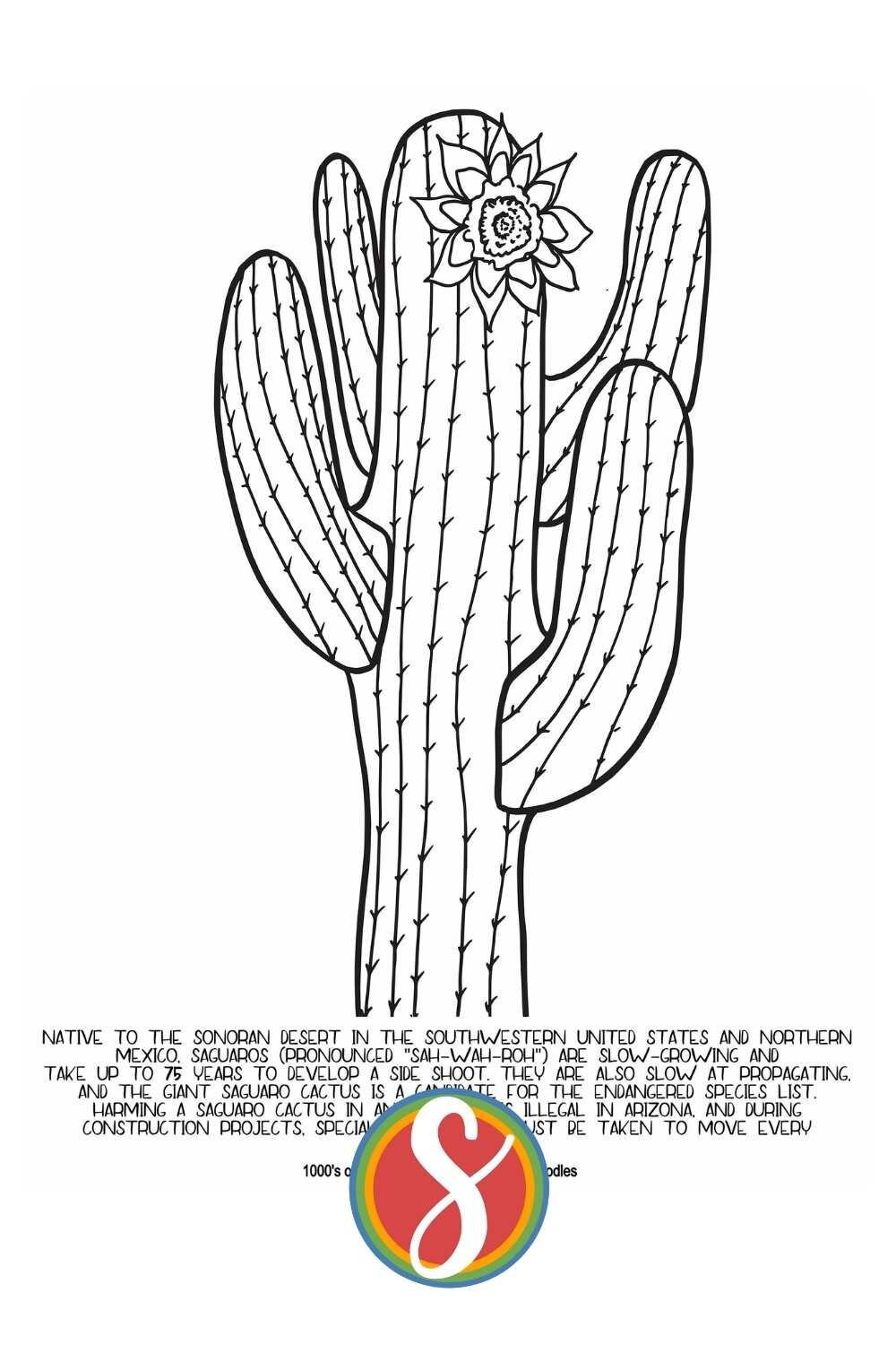 Free arizona coloring page â stevie doodles