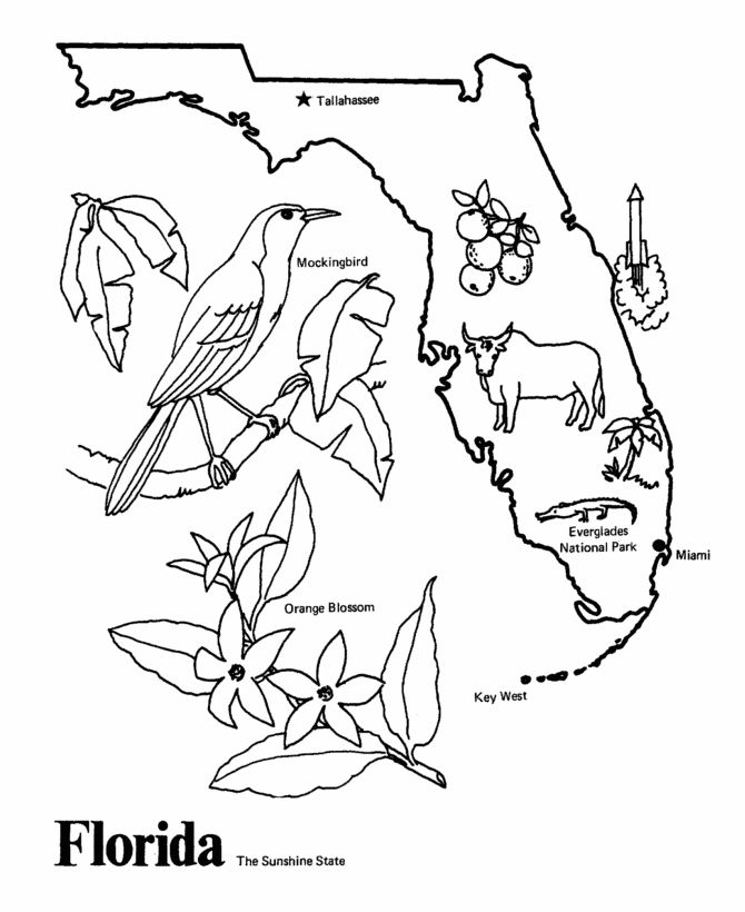 Florida state outline coloring page i copy the image and paste to a word doc to get it to print correctly coloring pages map of florida coloring book pages