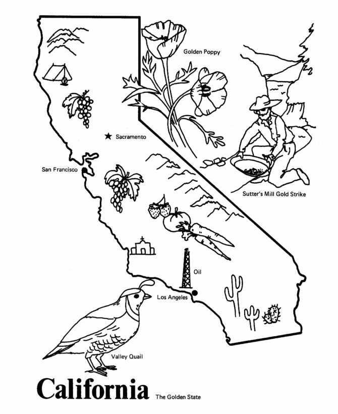 Discover the beauty of california with state coloring pages