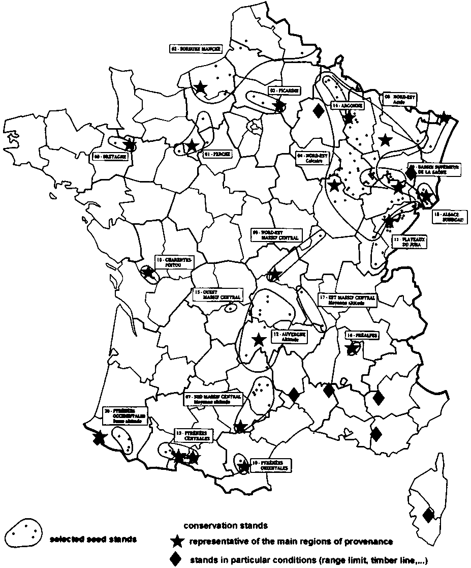 France map coloring pages