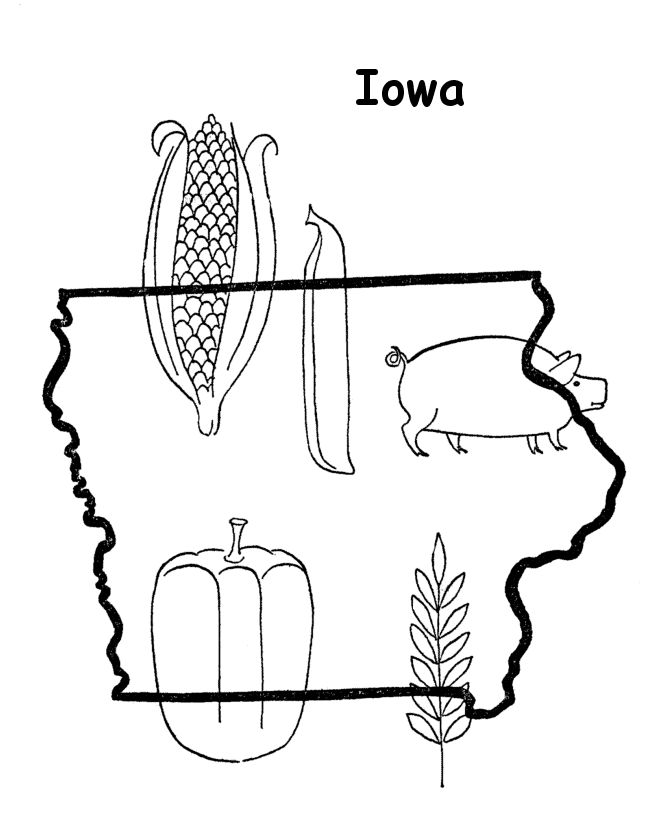 State outline shape and demographic map