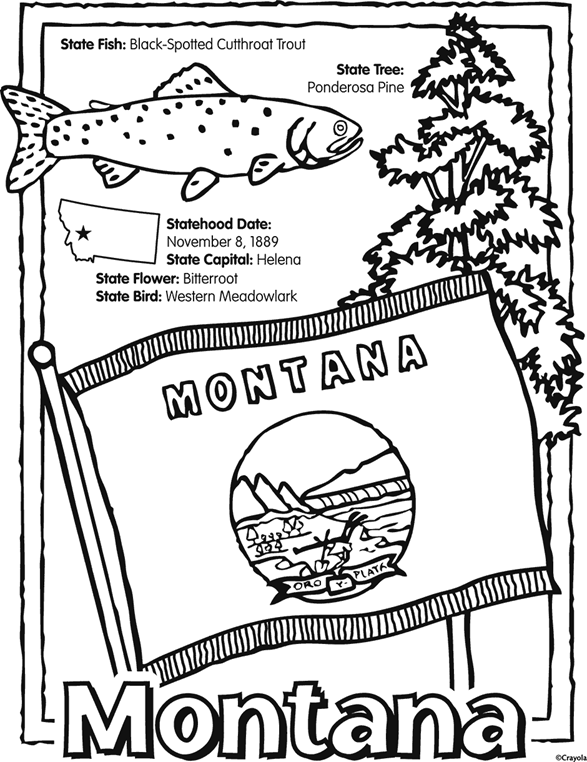 State of montana free coloring page