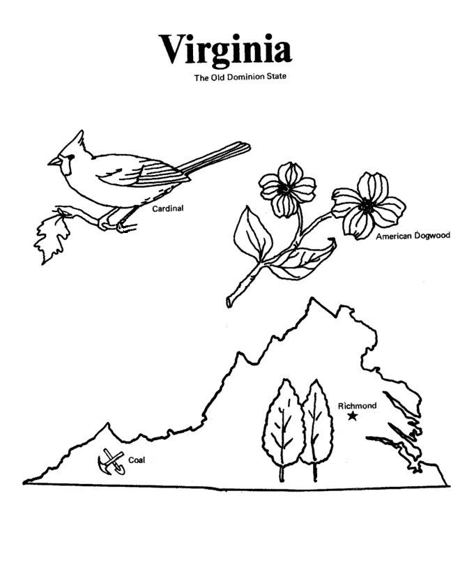 State outline shape and demographic map