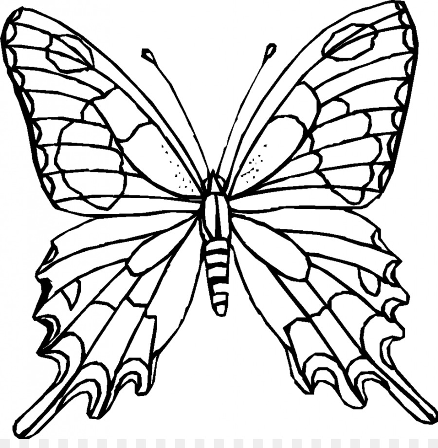 Butterfly black and white png download