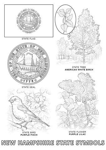 New hampshire state symbols coloring page state symbols flag coloring pages coloring pages