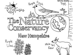 The conservancy in new hampshire