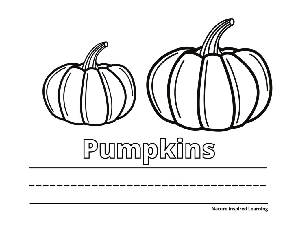 Pumpkin coloring pages