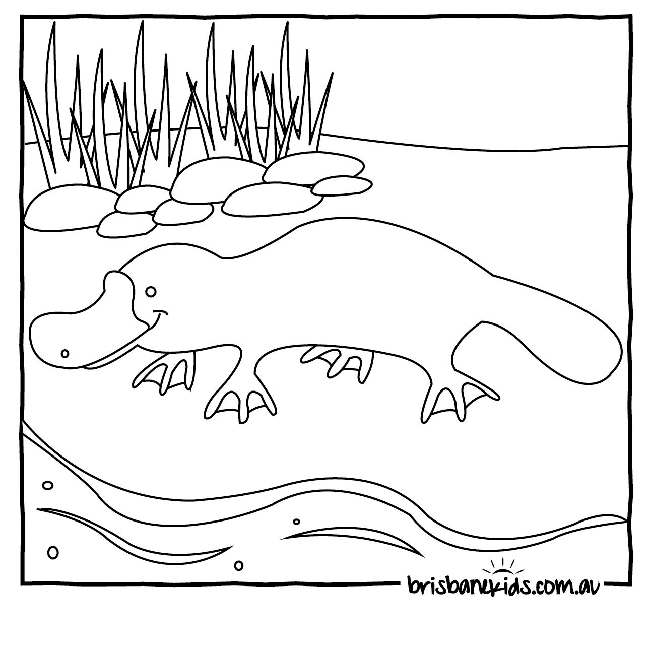 Stralian animals colouring pages