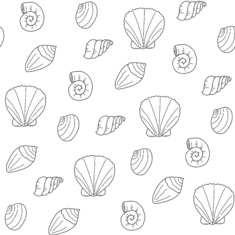 Bunch of different seashells coloring page