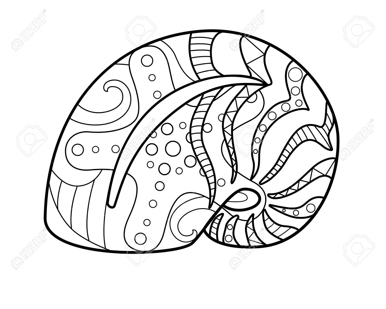Shell