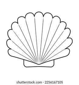 Seashell outline images stock photos d objects vectors