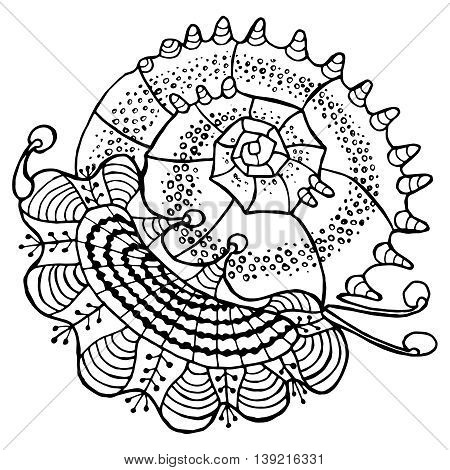 Abstract seashell vector photo free trial bigstock