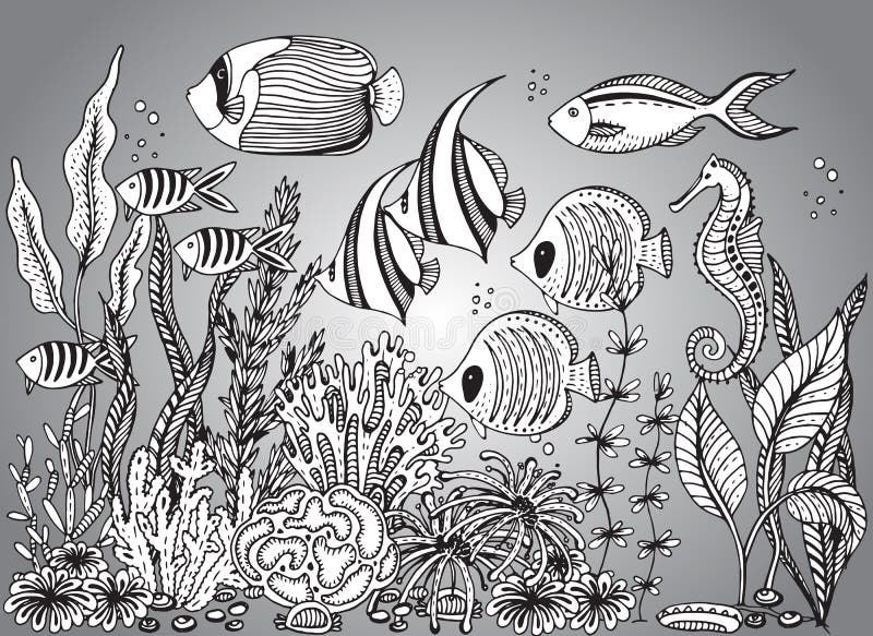 Decorative zentangle sea shell illustration outline drawing coloring book for adult and children coloring page stock vector