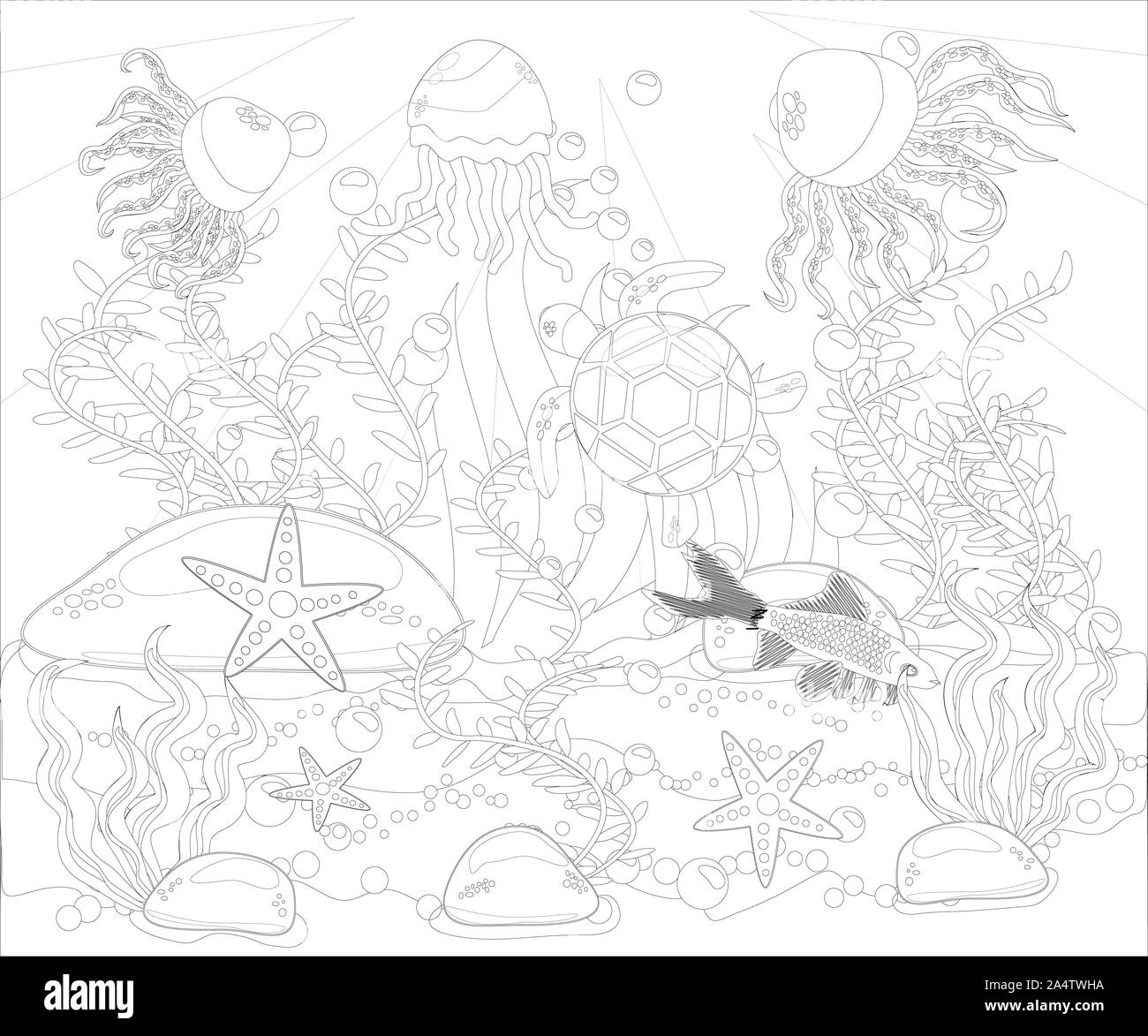 Underwater world anti stress coloring book for adult outline drawing coloring page black and white in zentangle style sea shells marine theme stock photo