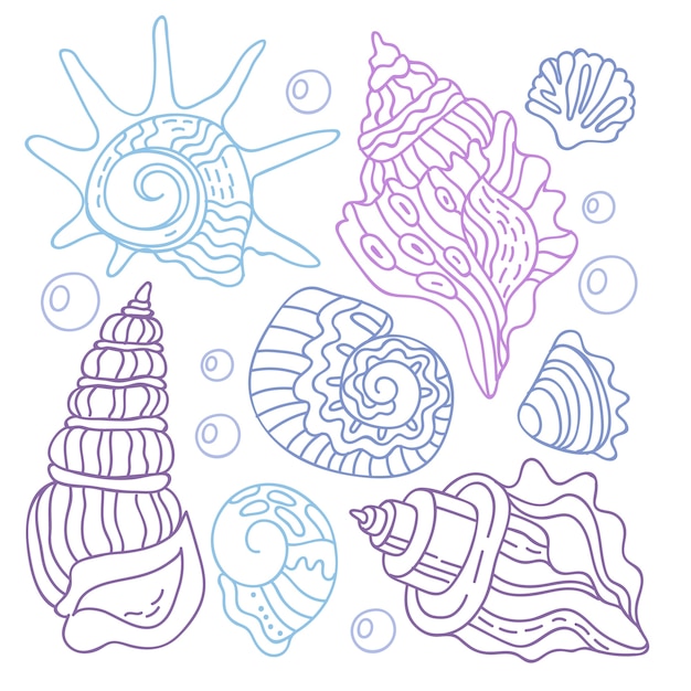Premium vector hand drawn seashell outline illustration