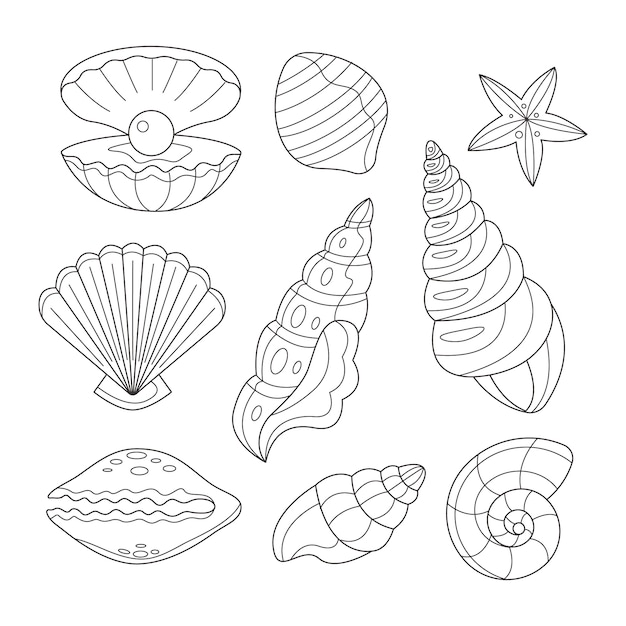 Free vector hand drawn seashell outline illustration