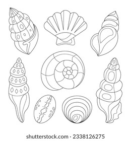 Seashell outline images stock photos d objects vectors