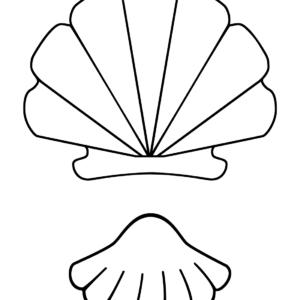 Scallop coloring pages printable for free download