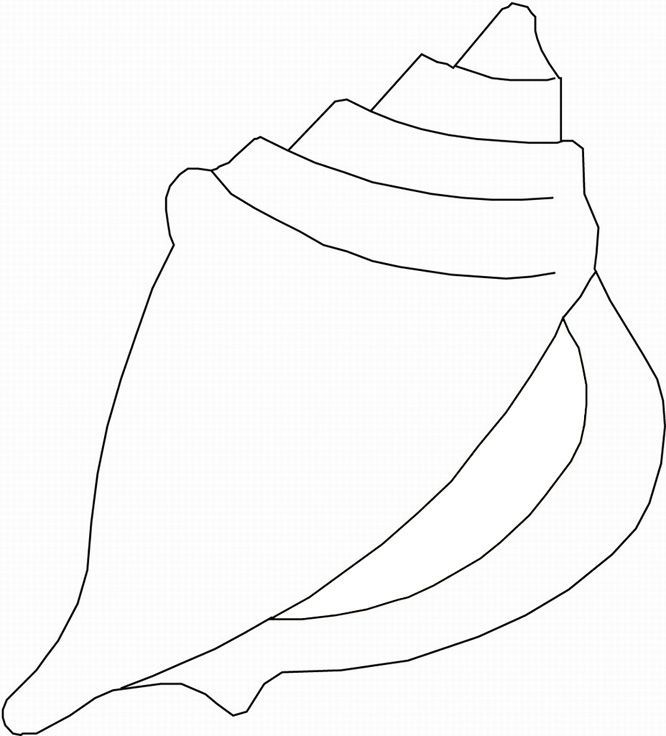 Image result for seashell template free printable seashells template templates printable free coloring pages