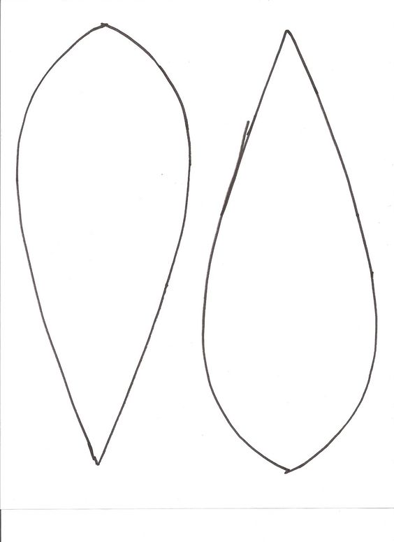 Turkey feather template free printable