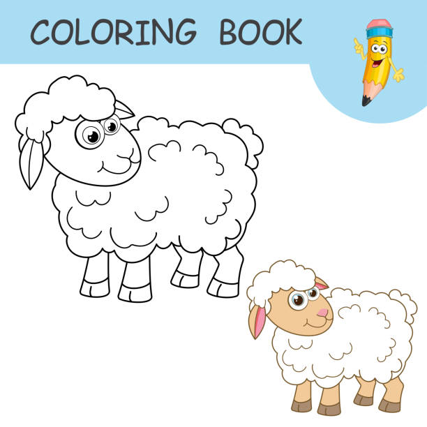 Coloring book with fun character young sheep colorless and color samples ewe on coloring page for kids coloring design in cute cartoon style black contour silhouette with a sample for coloring stock