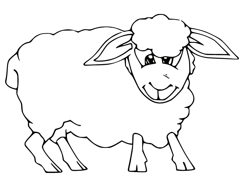 Dibujo de oveja de orejas grandes para colorear
