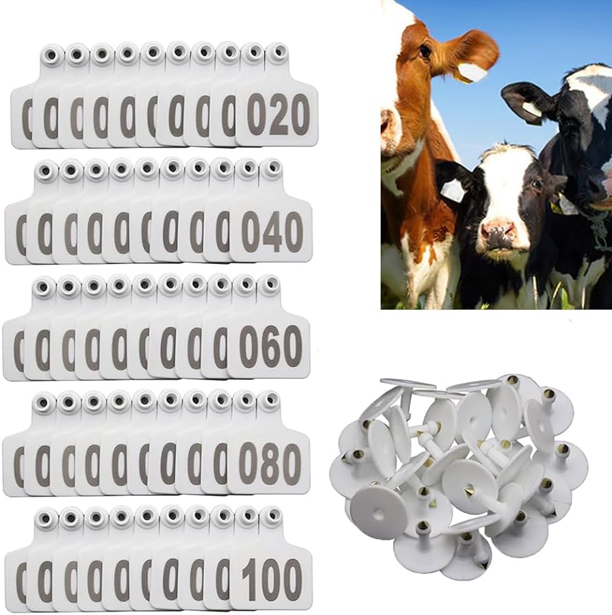 Pcs cattle ear tags numbered