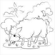Dibujos de ovejas para colorear