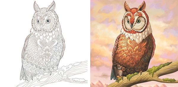 Adult coloring eagle images stock photos d objects vectors