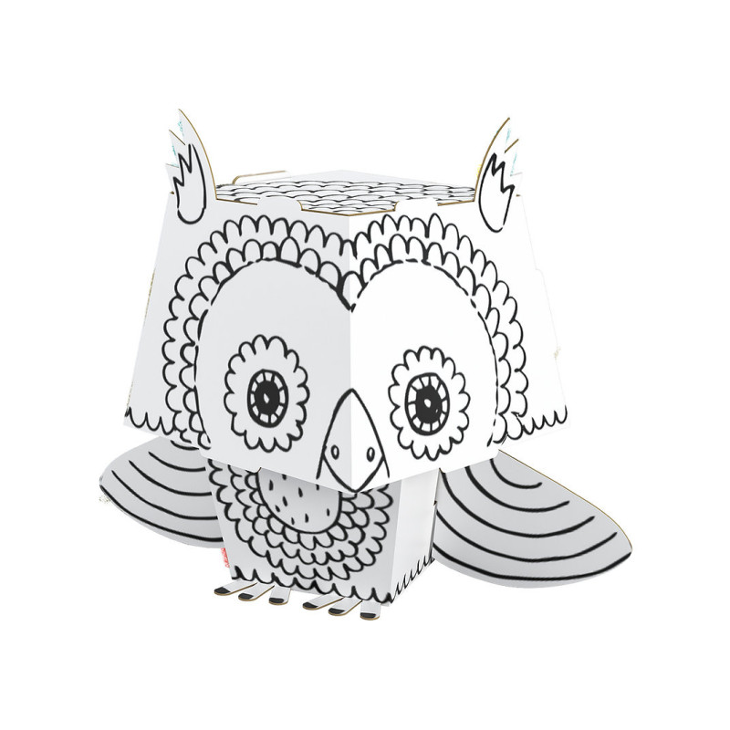D owl coloring book