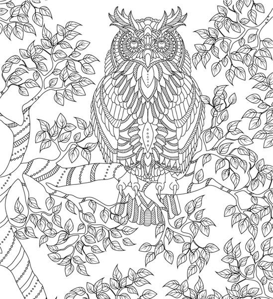 Thousand coloring book owl royalty