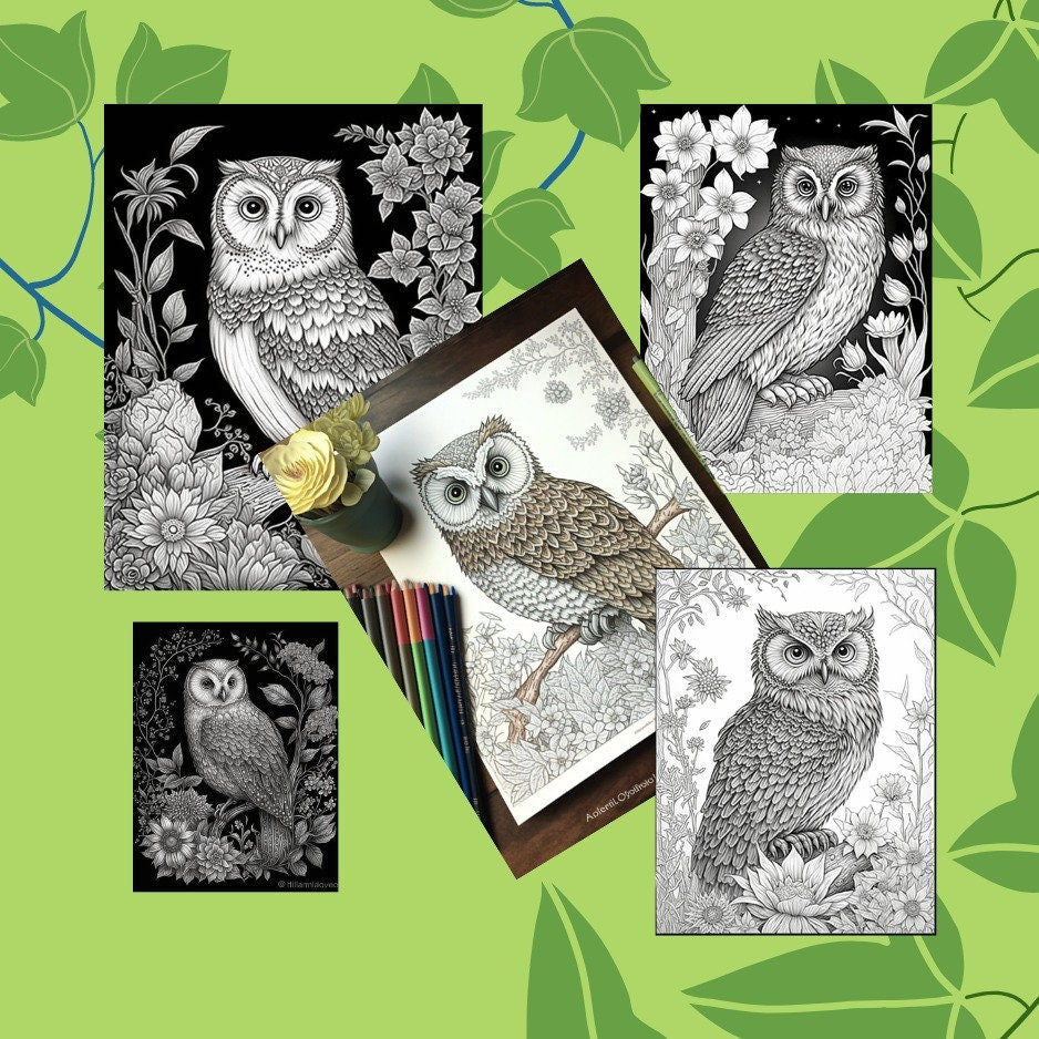 Adult coloring book pages images digital download
