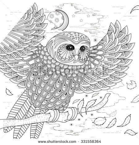 Owl stock photos images pictures owl coloring pages bird coloring pages animal coloring pages