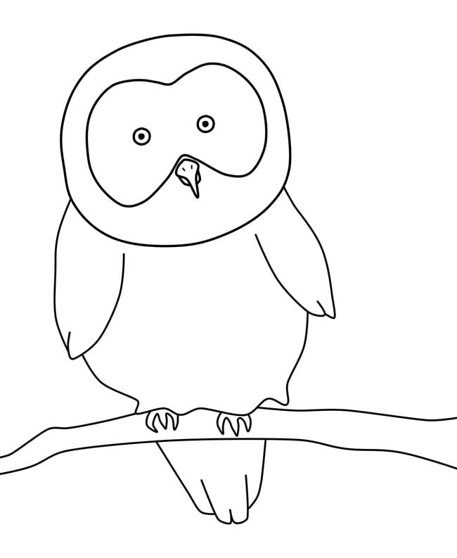 Owl shape