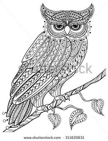 Paisley owls to colorg