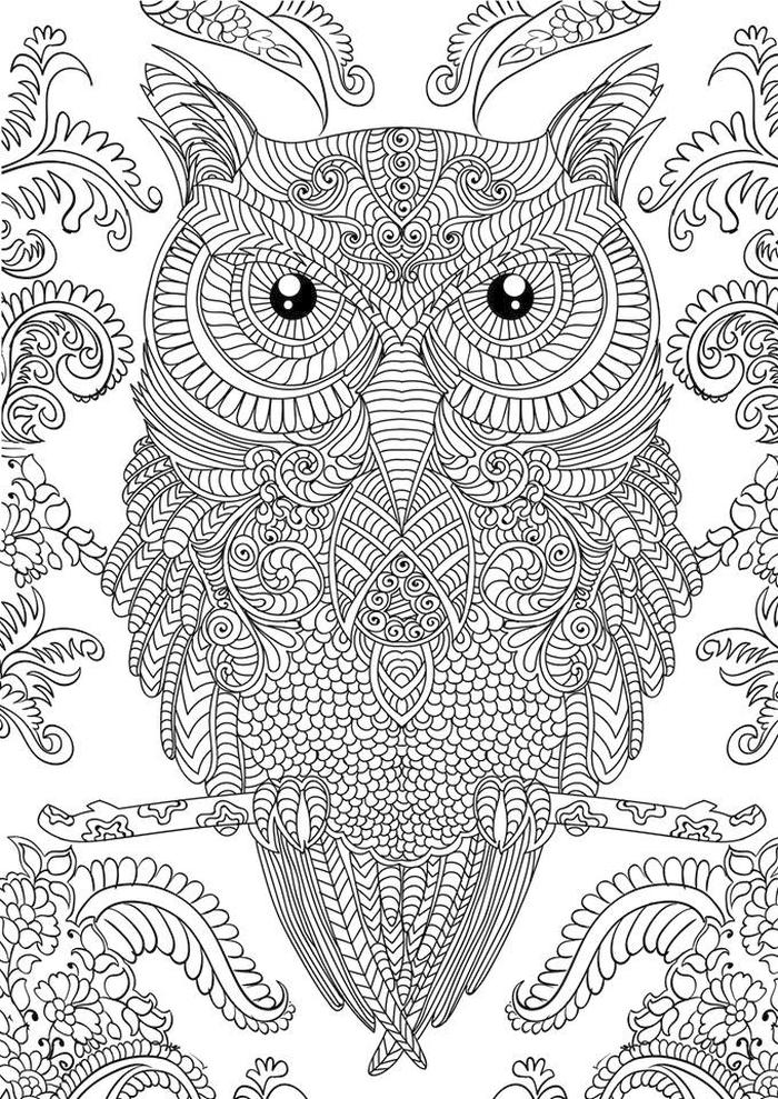 Get this owl adult coloring pages free printable dr