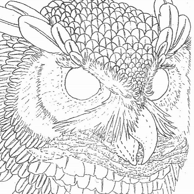 Free great horned owl pattern by robb barr â elktracks studio