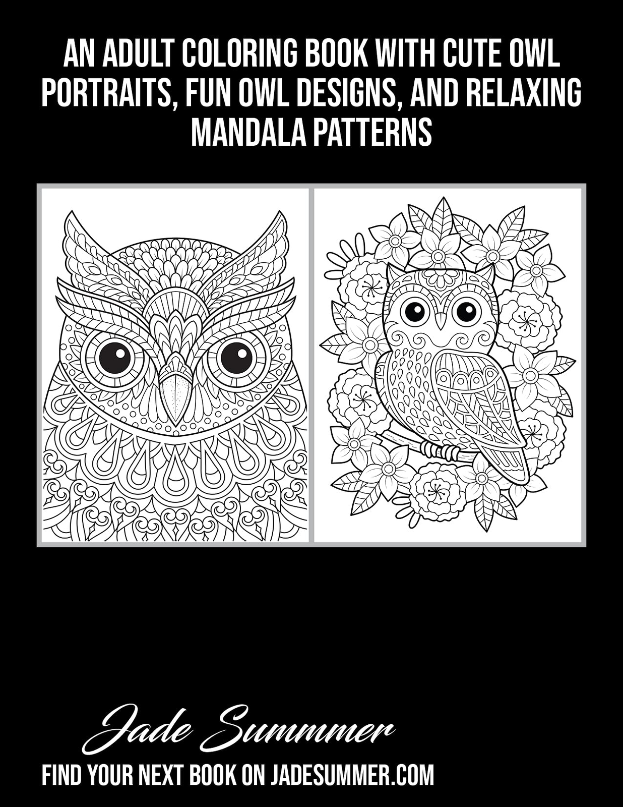 Adorable owls an adult coloring book with cute owl portraits fun owl designs and relaxing mandala patterns by jade summer trade paperback for sale online