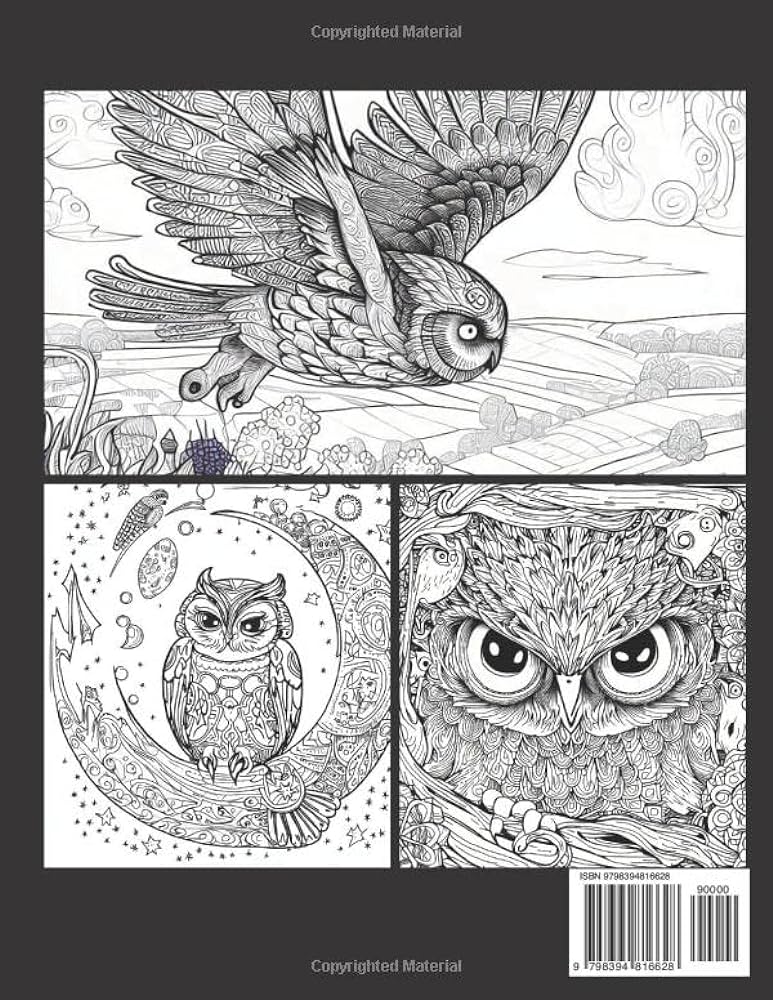 Intrite owl designs an adult coloring book for relaxation and mindfulness beautifully detailed illustrations for bird lovers and stress relief bullet points skala slavi books