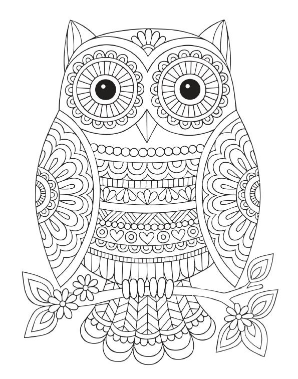 Owl mandala coloring page instant download