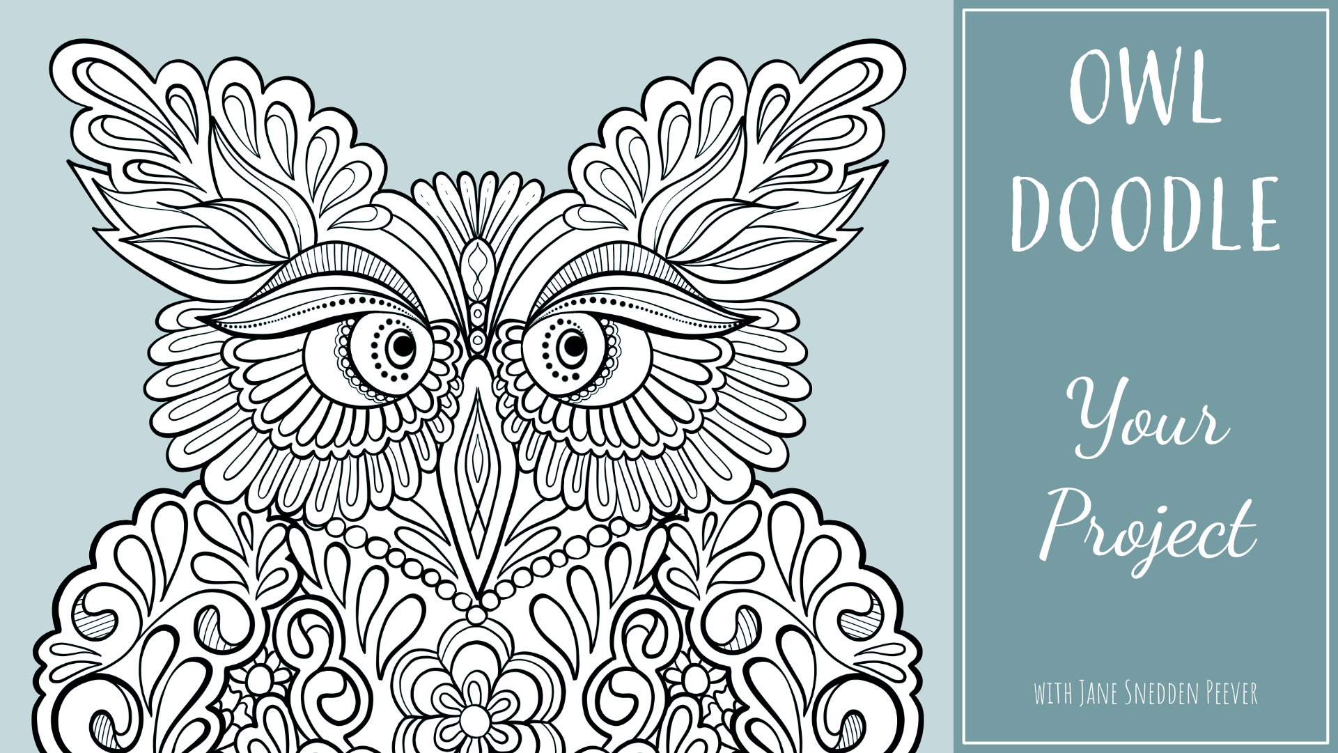 Owl doodle